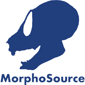 Morphosource